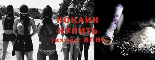 винт Алзамай