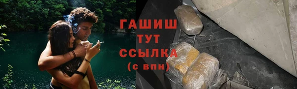 винт Алзамай