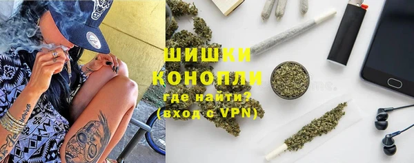винт Алзамай