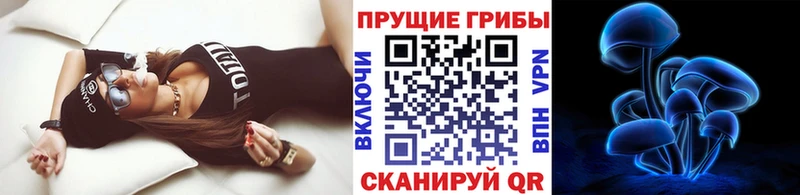 Псилоцибиновые грибы Cubensis blacksprut маркетплейс Бирск